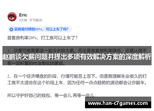 赵鹏谈欠薪问题并提出多项有效解决方案的深度解析