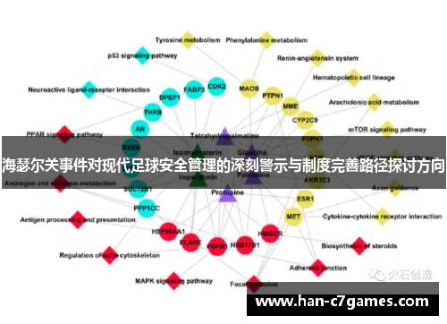 海瑟尔关事件对现代足球安全管理的深刻警示与制度完善路径探讨方向 海瑟尔关事件对现代足球安全管理的深刻警示与制度完善路径探讨方向