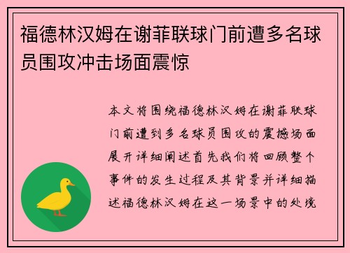 福德林汉姆在谢菲联球门前遭多名球员围攻冲击场面震惊